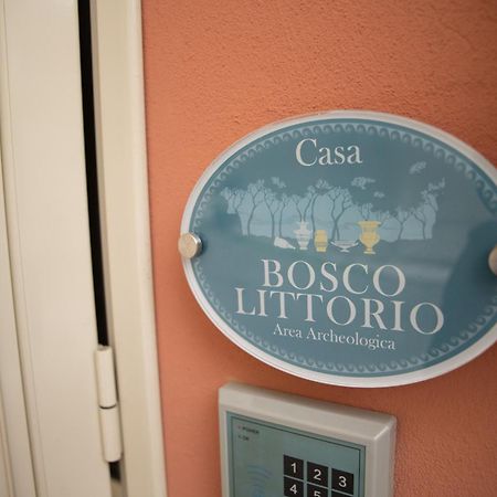 Le Dimore Di Ulisse A Gela - Casa Vacanze B&B - Bosco Littorio - Area Archeologica Bagian luar foto